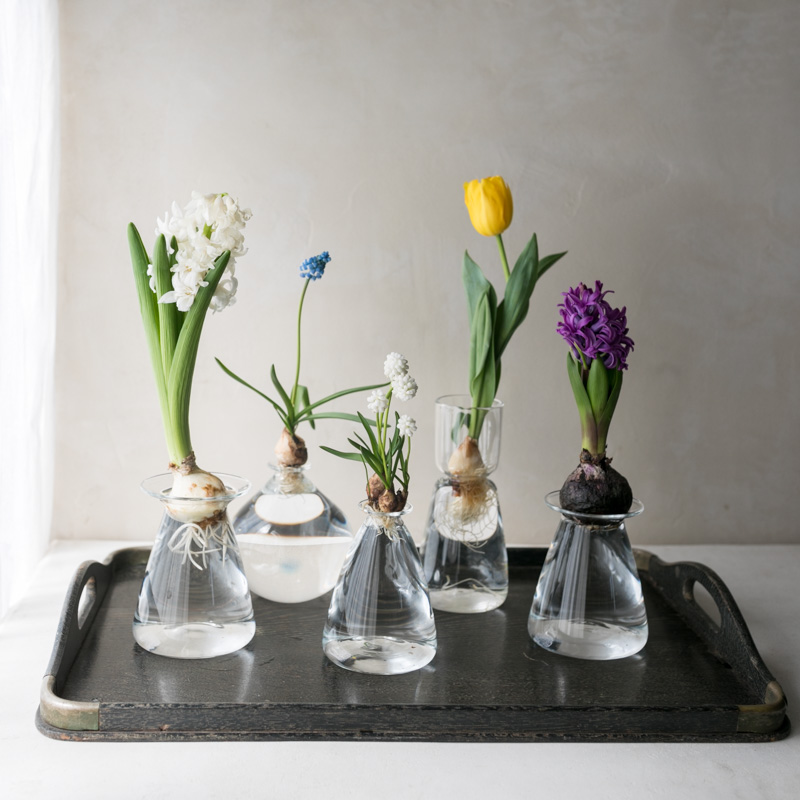 Eckepunkt Online Store 日々ガラス製作所 さこうゆうこ ムスカリポット 4